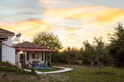 Natural landscape, Garden view