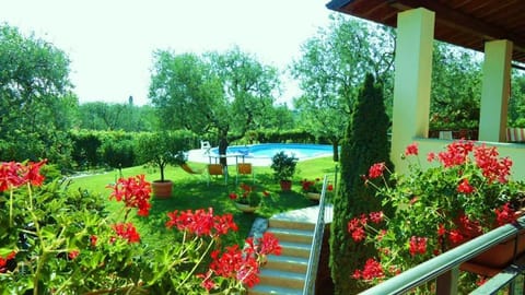 Appartamento dell'Uva Apartment in Bardolino