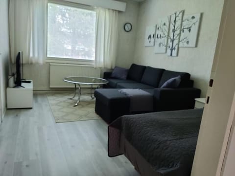 Yksiö omalla puusaunalla Apartment in Lapland