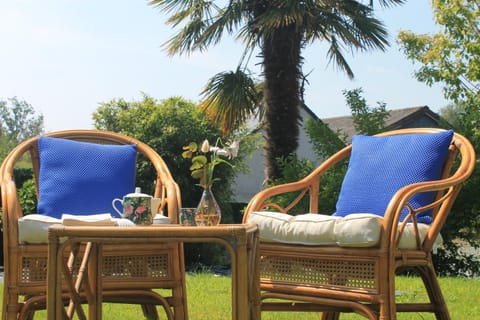 Garden, Garden view, sunbed