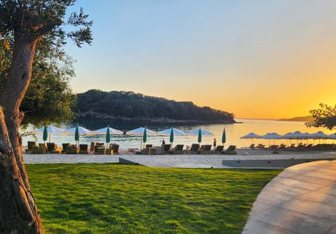 Garden, Beach, Sea view, Sunset