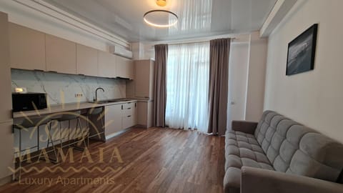 Kitchen or kitchenette, Living room, Dining area, stove, air conditioner