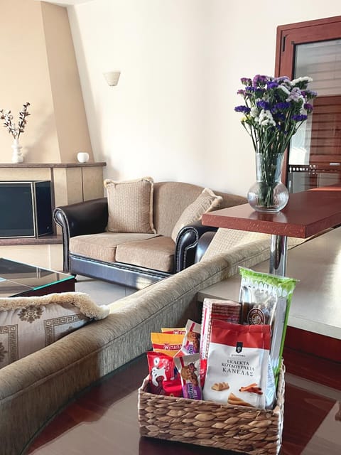 Eleousa Apartment Ioannina Apartment in North Macedonia