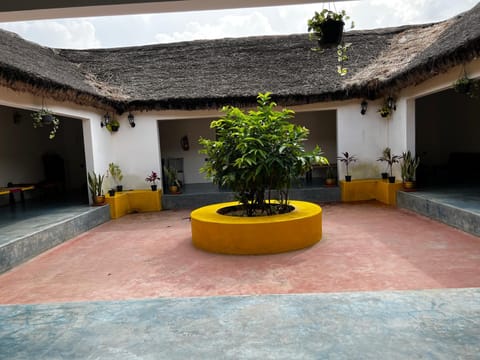 Patio, Day, Garden, Garden view