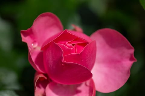 Seeluft Apartment in Cuxhaven