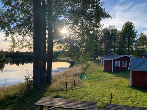 Natural landscape, River view