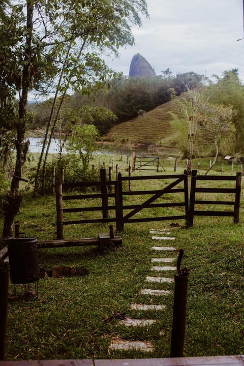 Day, Garden, Garden view, Mountain view