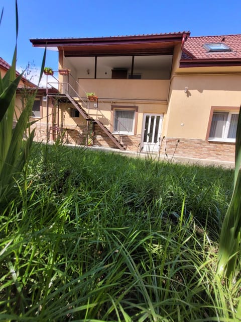 Property building, Garden, Garden view