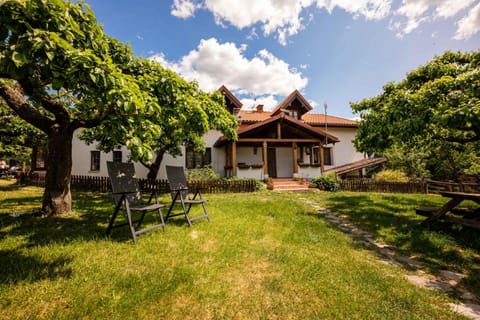 Day, Natural landscape, Garden