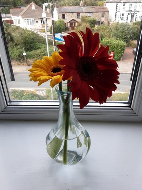 Freda's Treasure "Freddie's Room" Vacation rental in England