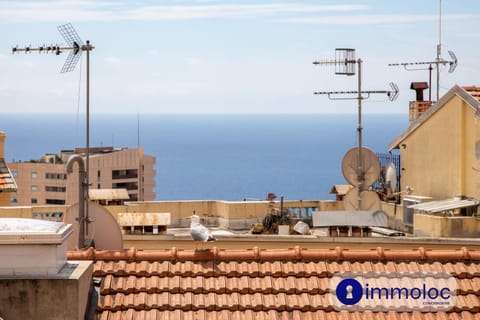 apartment in the heart of Beausoleil Apartment in Avenue du Carnier