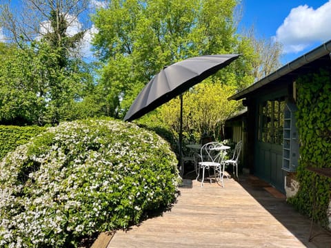 Patio, Spring, Garden, Garden view