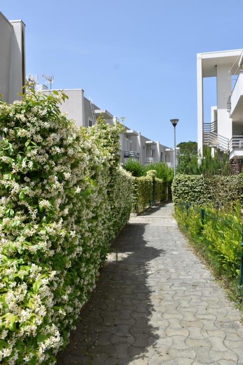 Property building, Spring, Day