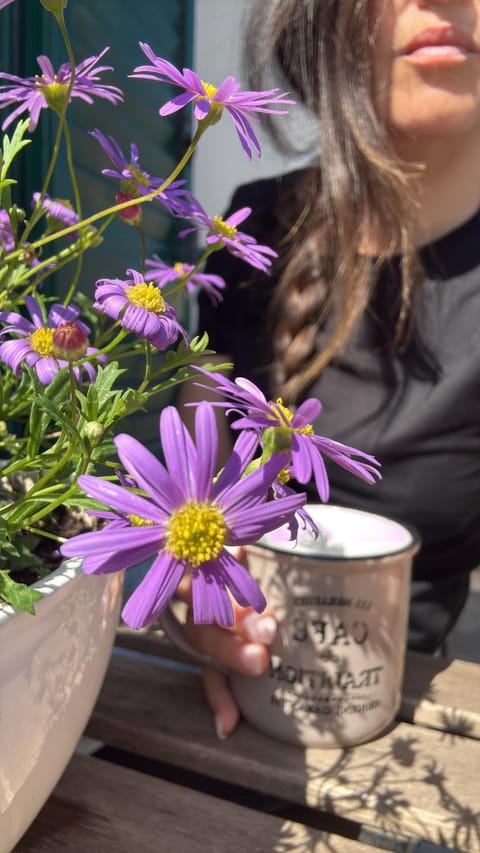 Casa LA TORRETTA Apartment in Bari