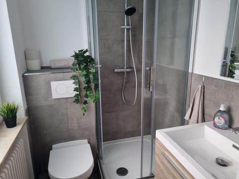 Shower, Toilet, Bathroom, towels