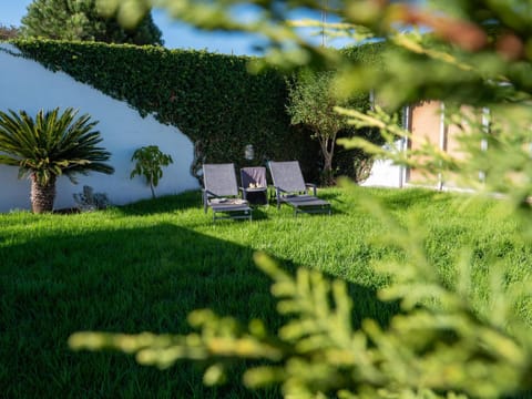 Garden, Garden view, sunbed
