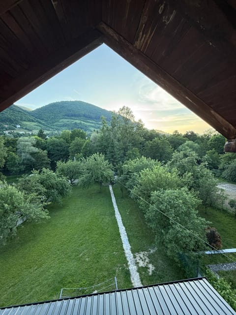 Natural landscape, Garden, Garden view