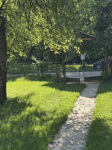 Natural landscape, Garden