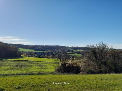les pies vertes House in Wallonia, Belgium