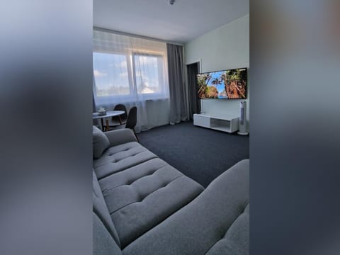 TV and multimedia, Living room, Seating area, Evening entertainment