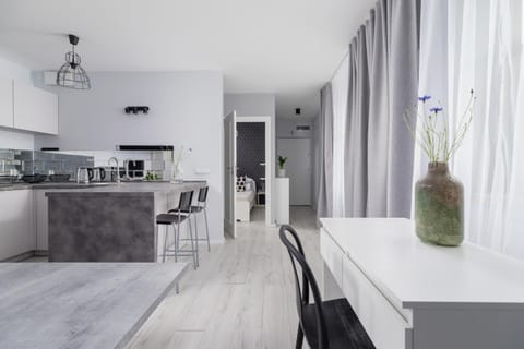 Kitchen or kitchenette, Dining area, oven, stove