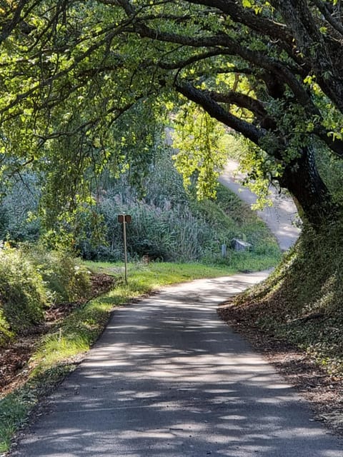 l'éden des Baronnies gîte1 House in Provence-Alpes-Côte d'Azur