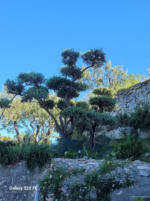 Le Jardin des Oliviers Vacation rental in Apt