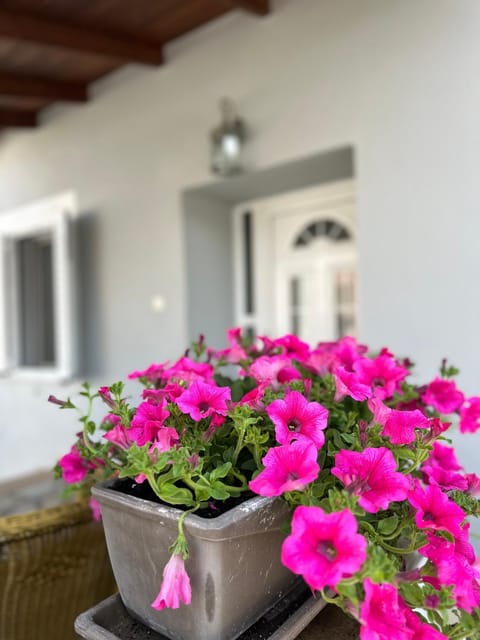 Cozy village apartment House in Decentralized Administration of Macedonia and Thrace