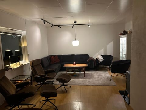 House in the lights and Aurora House in Tromso