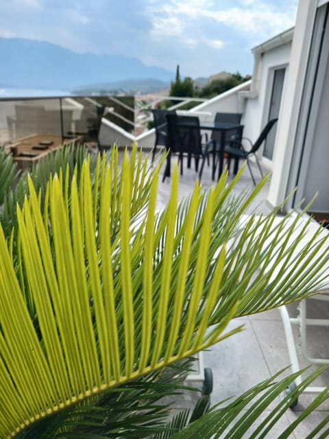 Blue sky apartman Apartment in Kotor Municipality