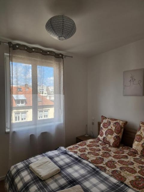 Appartement Fleur De Houblon Apartment in Strasbourg