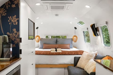 Luxury Airstream w hot tub, king bed, & grill House in Pisgah Forest