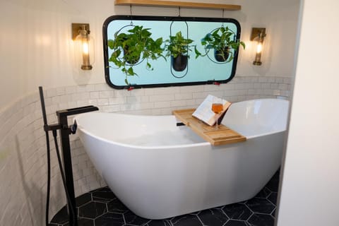 Airstream w Bathtub, River, & Hot Tub House in Pisgah Forest