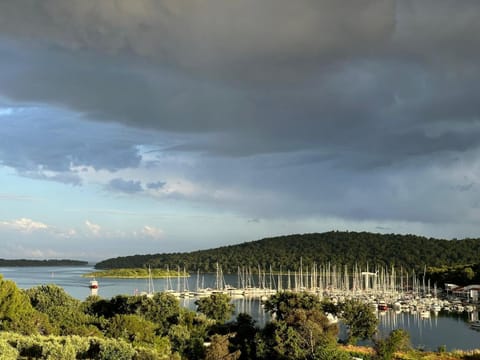 Natural landscape, Lake view