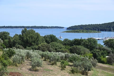 Natural landscape, Sea view