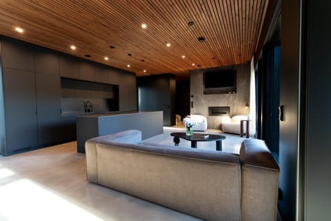 Bed, TV and multimedia, Kitchen or kitchenette, Living room, Photo of the whole room, Seating area
