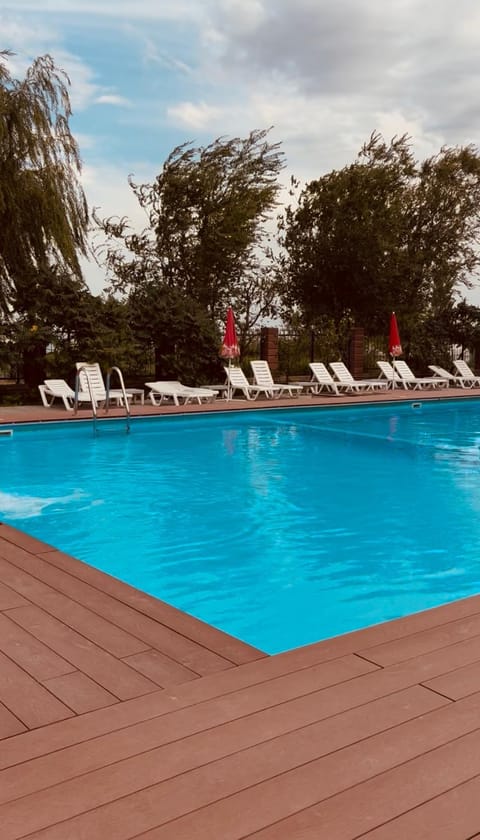 Day, Pool view, Swimming pool, sunbed