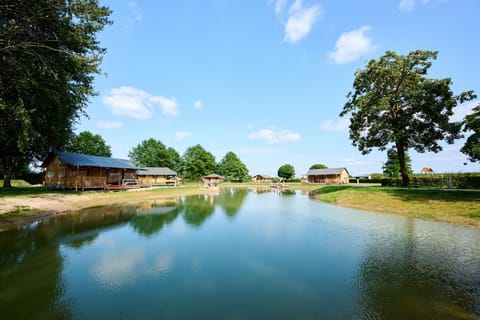 Lake view