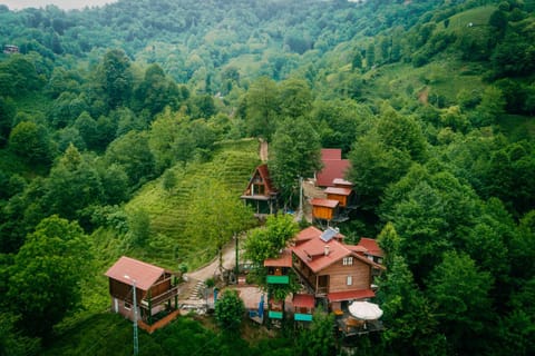 Off site