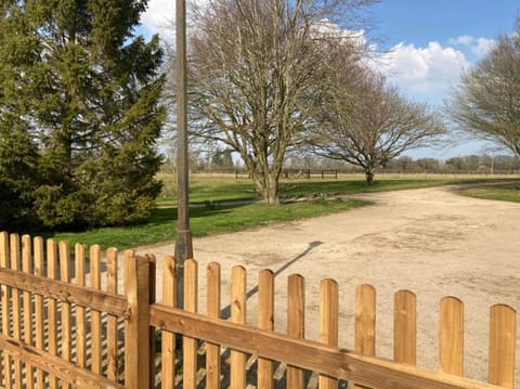 Inner courtyard view