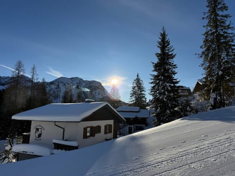 Ski in & Ski out Apartment at Chalet Heinrich Apartment in Friuli-Venezia Giulia