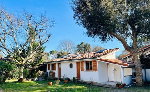 Property building, Garden, Garden view
