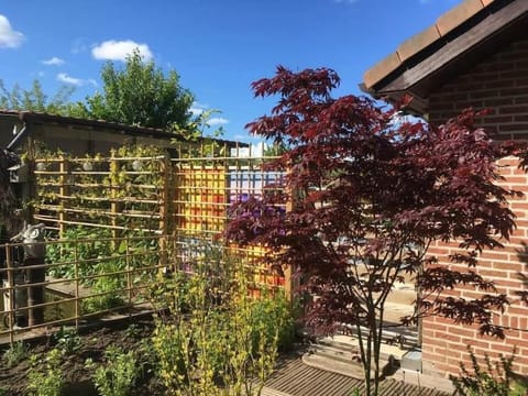 Spring, Garden, Garden view