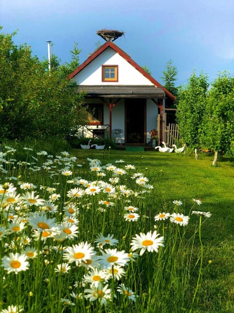 Property building, Natural landscape, Garden, Garden view