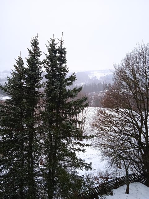 Natural landscape, Winter, View (from property/room), Mountain view