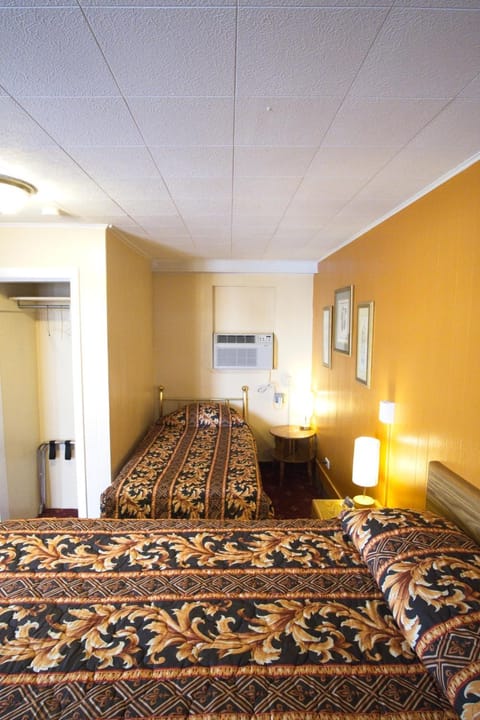 The King's Inn Nature lodge in Sidney