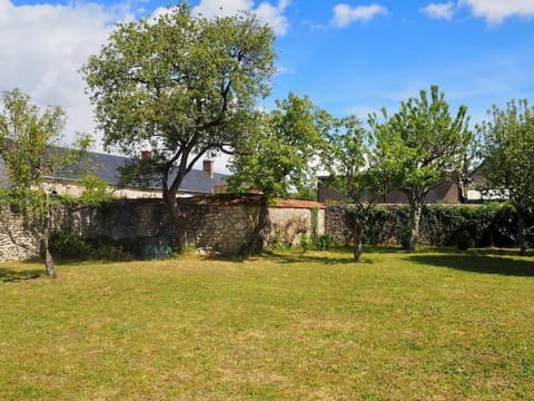 Day, Natural landscape, Garden