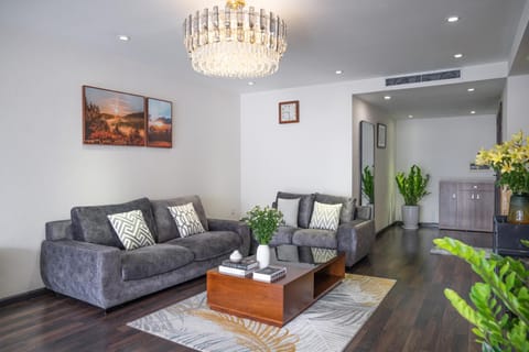 Living room, Seating area, air conditioner