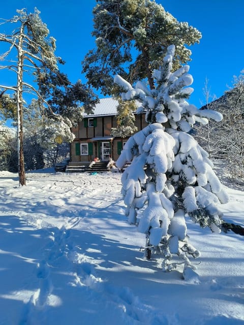 Ô Bercail Bed and Breakfast in Sierre