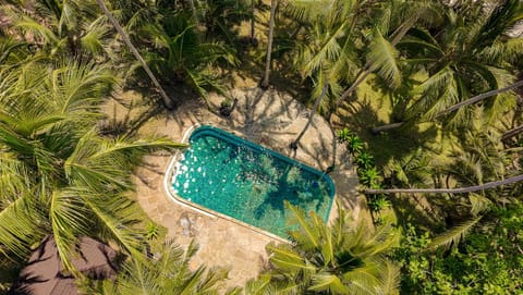 Bird's eye view, Garden, Garden view, Pool view, Swimming pool